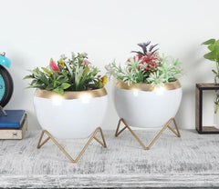 Metal Planters (Set of 2)