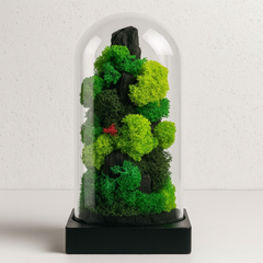 Forest Dome with Preserved Moss